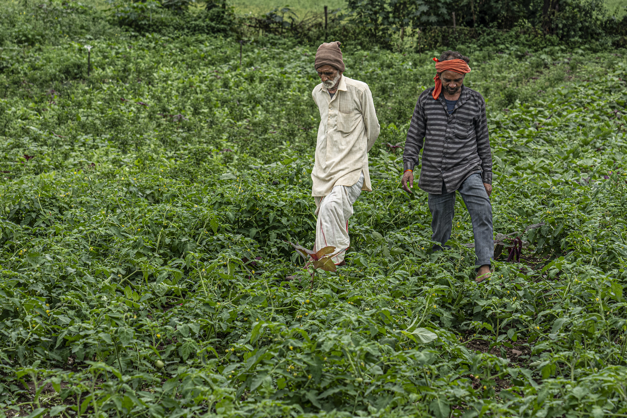 A Journey Back to Health, with a Family Caregiver - Jhpiego